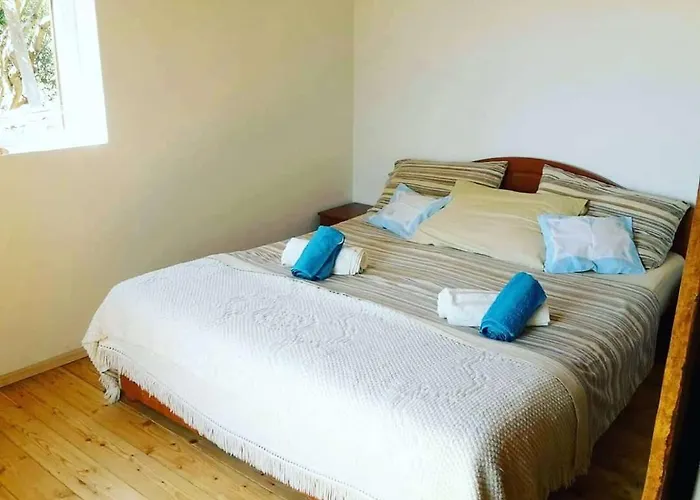 Secluded Fisherman's Cove Cerenje, Pasman - 8477 Tatil Evi Ždrelac